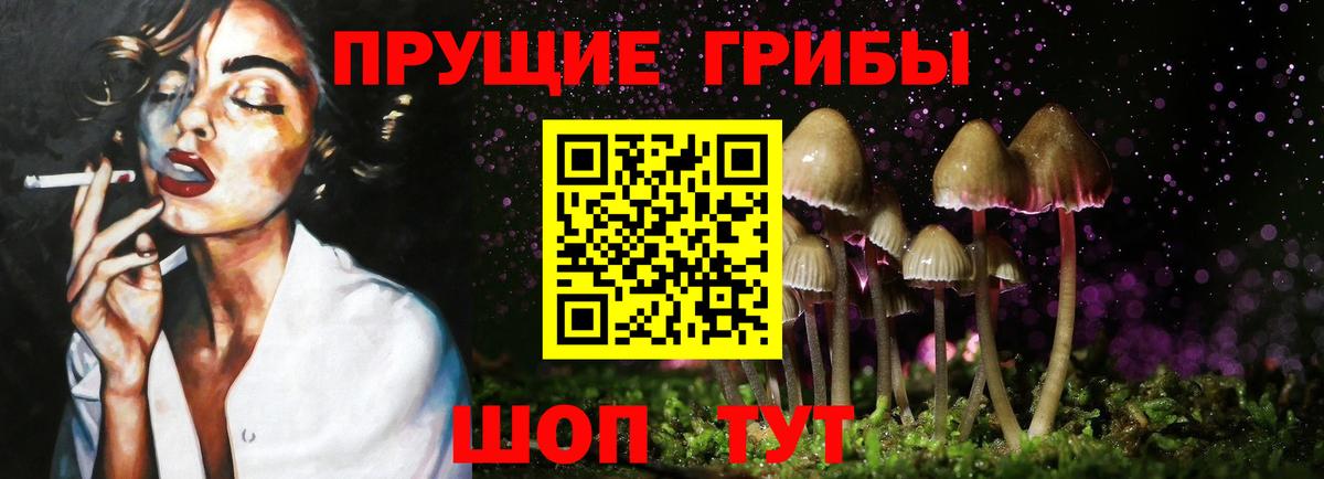 Псилоцибиновые грибы Psilocybe Благовещенск