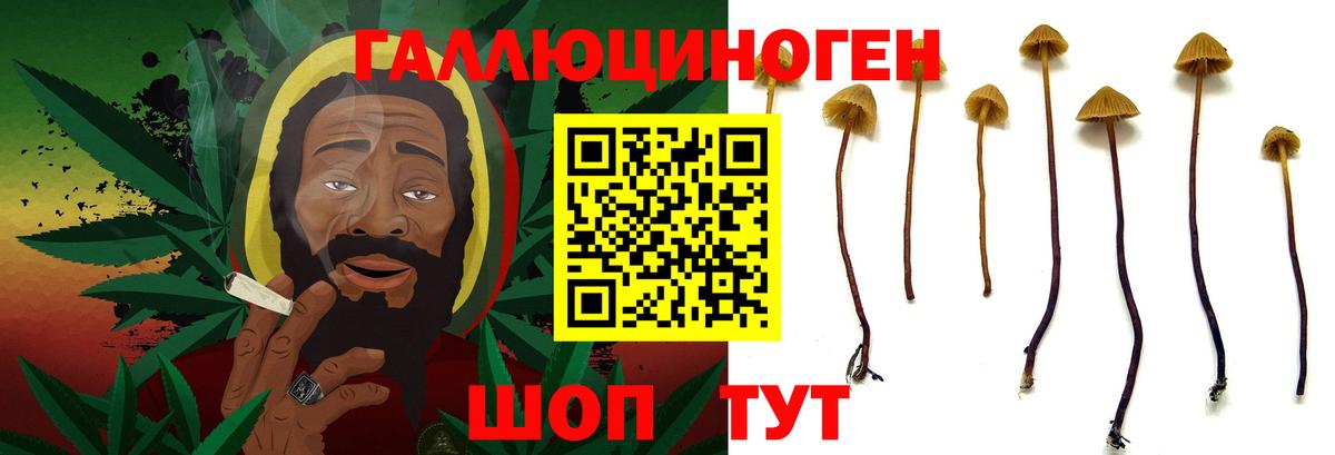 Благовещенск  Галлюциногенные грибы прущие грибы  Вход с VPN 